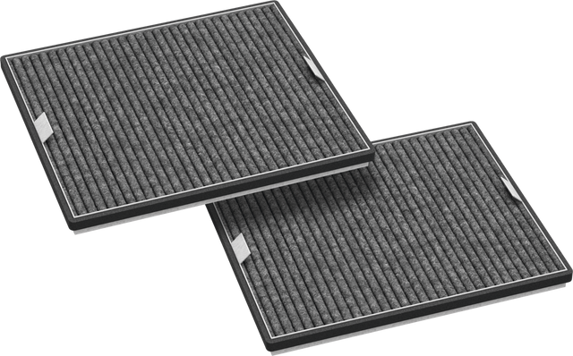 MIELE DKF 16-P Filtro a carboni attivi (2 pezzi)